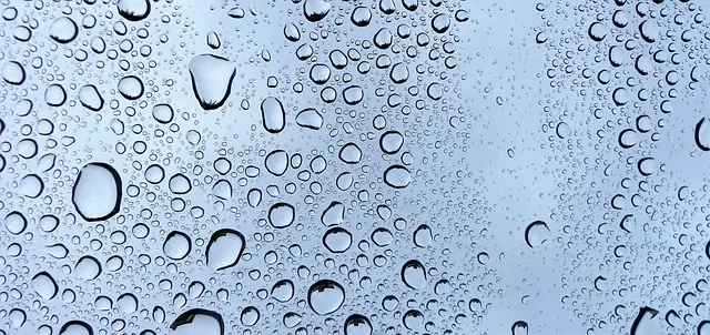 Nettoyage de vitres à Léognan