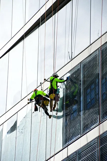 Nettoyage de vitres à Talence