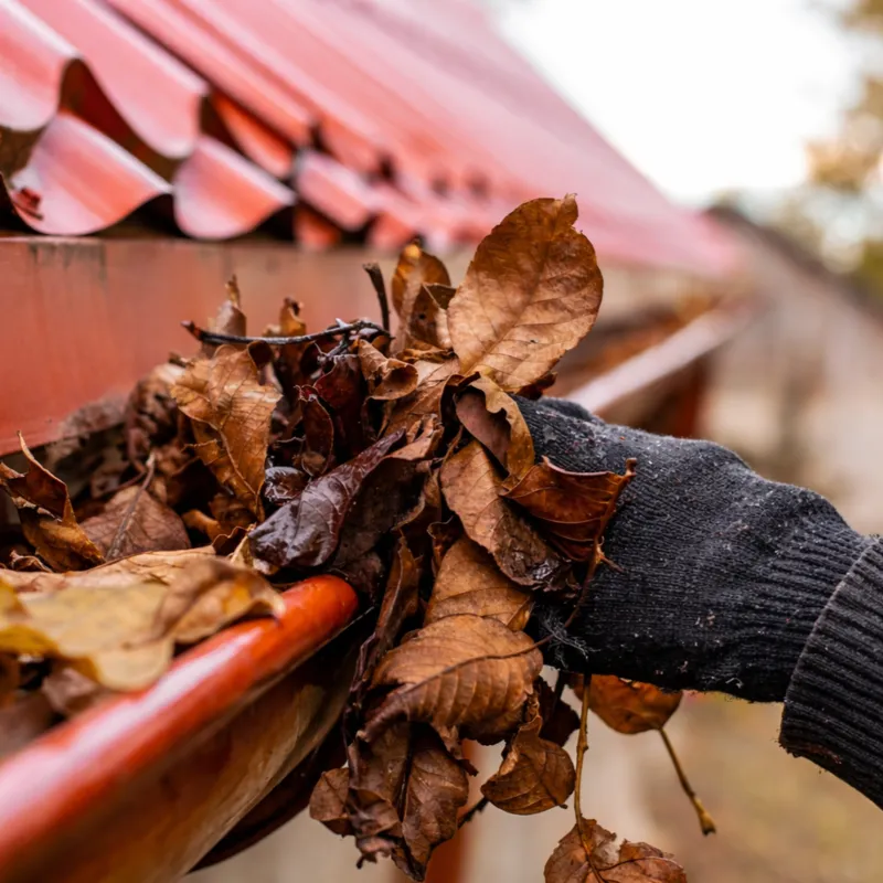 Nettoyage de gouttières en Gironde pour particuliers